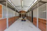34575 Sycamore Springs - Photo 40