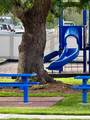13303 Rancho Penasquitos Boulevard - Photo 22