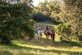 23835 Viejas Grade - Photo 56