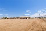 22772 Lancelet - Photo 47