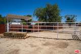 37506 95th Street - Photo 33