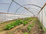 385 Feghali Road - Photo 11