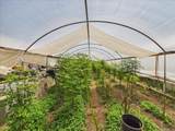 385 Feghali Road - Photo 13