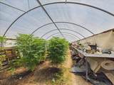 385 Feghali Road - Photo 14
