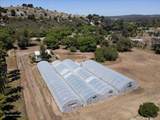385 Feghali Road - Photo 5