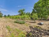 385 Feghali Road - Photo 6