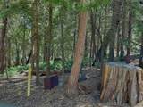 .29 / Crestline Road - Photo 18
