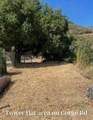 2906 Las Flores Canyon Rd - Photo 11