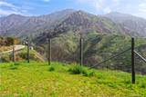 2906 Las Flores Canyon Rd - Photo 12