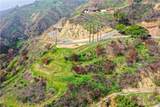 2906 Las Flores Canyon Rd - Photo 6