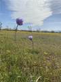0 Vacant Land - Photo 3