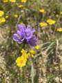 0 Vacant Land - Photo 4