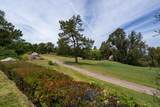 16527 N Woodson Drive - Photo 41