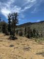 0 310-040-017 Pine Creek Valley Road - Photo 10