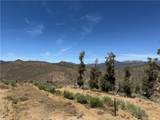 0 310-040-017 Pine Creek Valley Road - Photo 12