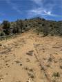 0 310-040-017 Pine Creek Valley Road - Photo 13