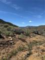 0 310-040-017 Pine Creek Valley Road - Photo 21