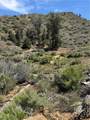 0 310-040-017 Pine Creek Valley Road - Photo 8