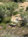 0 310-040-017 Pine Creek Valley Road - Photo 9