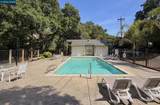 500 Suntree Ln - Photo 29
