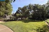 500 Suntree Ln - Photo 31
