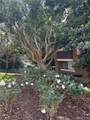1 Windsong Court - Photo 11