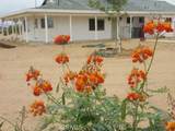 62323 Mars Drive - Photo 1