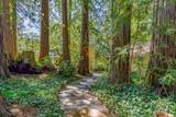 1100 Old La Honda Road - Photo 3