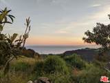 2195 Little Las Flores - Photo 9