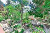 30736 Live Oak - Photo 30