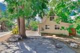 30736 Live Oak - Photo 38