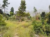 333 Wistaria Way - Photo 3