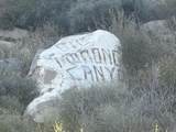 48980 Big Morongo Canyon Road - Photo 8