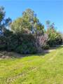 35371 Spanish Oak - Photo 7