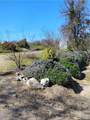 35371 Spanish Oak - Photo 8