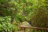 262 Morning Canyon Road - Photo 35