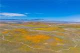 46472 Kings Canyon Rd - Photo 29