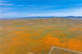 46472 Kings Canyon Rd - Photo 31