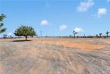 8038 Begonia Road - Photo 37