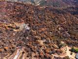 79 Oregon Gulch Road - Photo 13