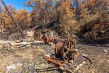 79 Oregon Gulch Road - Photo 5