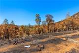 79 Oregon Gulch Road - Photo 7