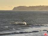 27212 Pacific Coast Highway - Photo 4