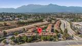 8749 Olive Tree Drive - Photo 41