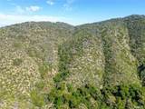 0 Paseo Chaparro - Photo 4