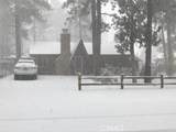 1004 Wendy Avenue - Photo 40
