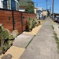 3714 12th Street - Photo 2