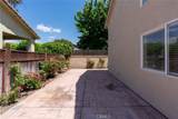 3482 Paseo Verde Avenue - Photo 51