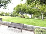 29001 Savannah Drive - Photo 9