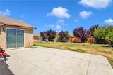 13912 Pinellia - Photo 30